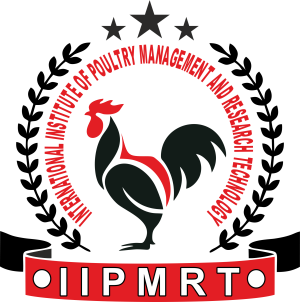 Iipmrt.png