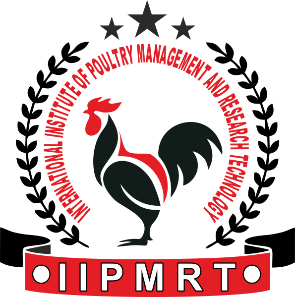 File:Iipmrt.png